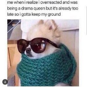 Meet your Posher, Nita